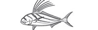Gamefish Engravings - Roosterfish