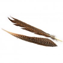 JMC® Golden Pheasant Tail