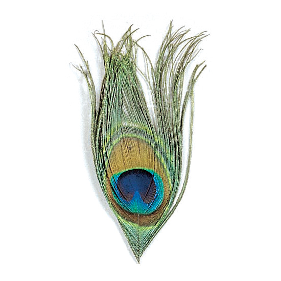 JMC® Peacock Eye Natural